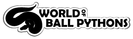 worldball