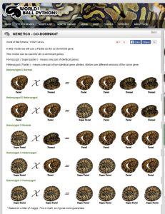 Genetics_-_Co-dominant_-_Articles_-_World_of_Ball_Pythons_-_2016-03-12_14.51.50